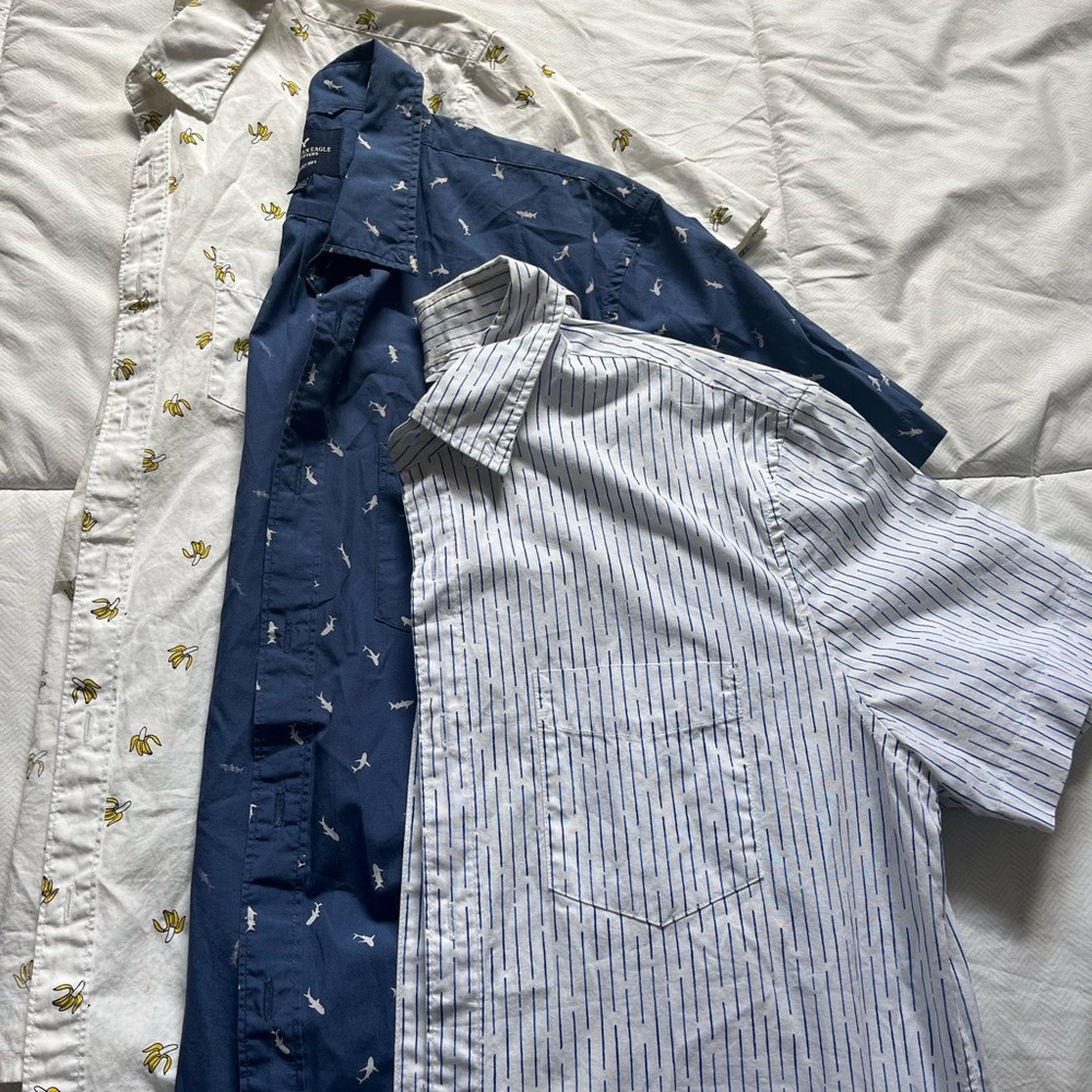 American Eagle Outfitters Blue and White Casual Button Down Shirts